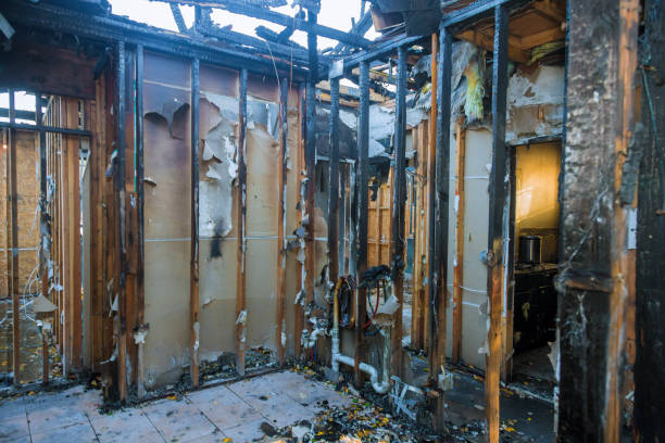 Professional Fire Damage Removal technician working in Victoria, VA
